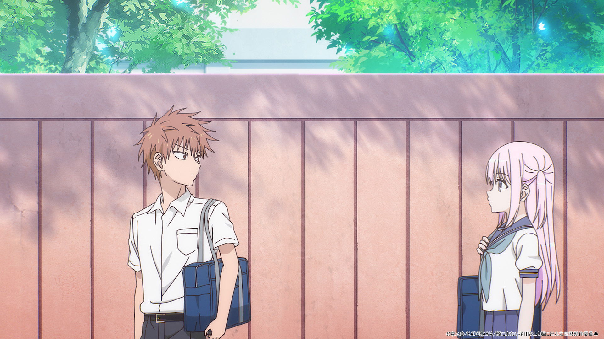 Kashiwada-san and Oota-kun and the Summer Festival