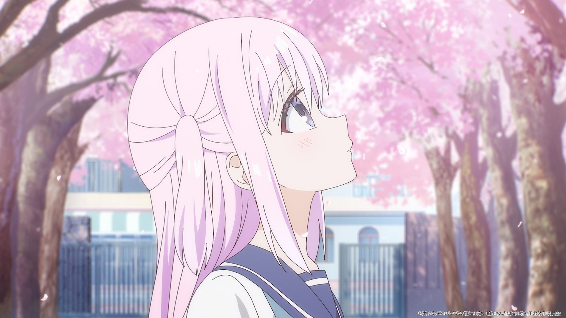 Kashiwada-san ve Oota-kun ve Yalanlar
